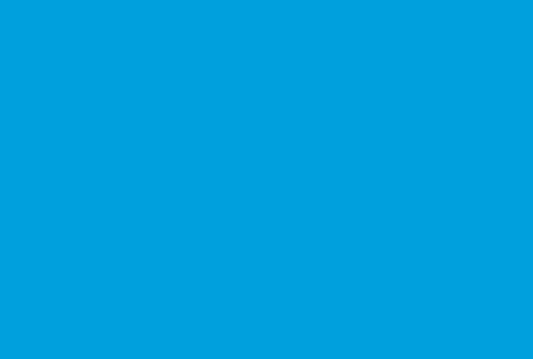 government it solutions